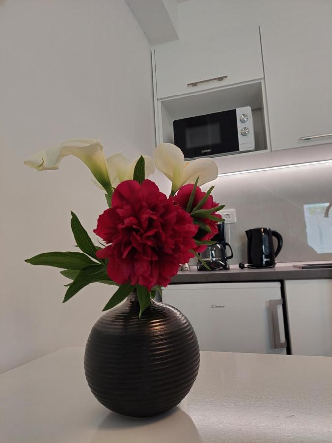 Mara Apartment *